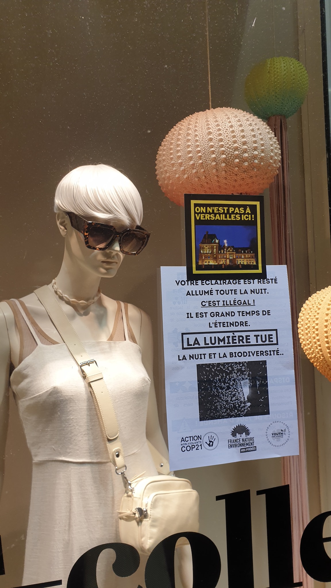 Action FNE sur la pollution lumineuse, Toulouse.