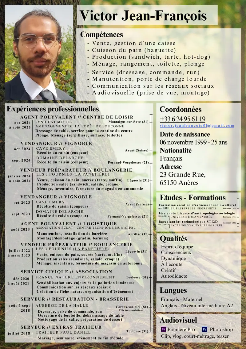 Miniature du CV professionnel de Vie, format classique paginé.
